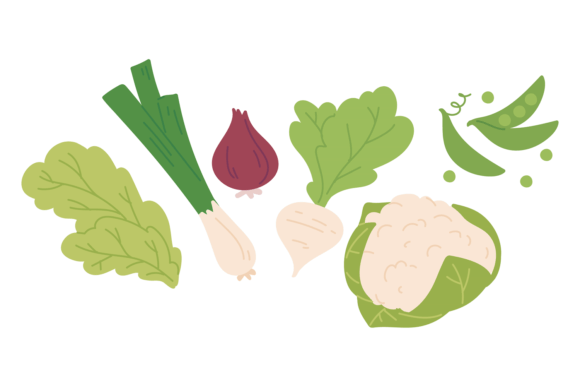 Download Salad Vegetables. Healthy Fresh Green or - Fresh green Collection